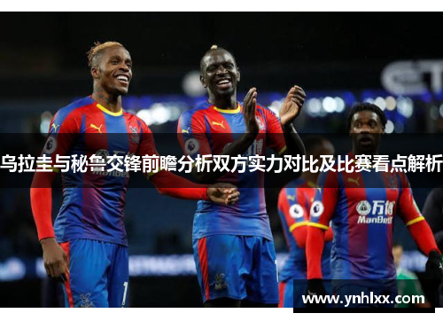 乌拉圭与秘鲁交锋前瞻分析双方实力对比及比赛看点解析